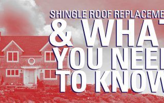 BLOG-ShingleReplace