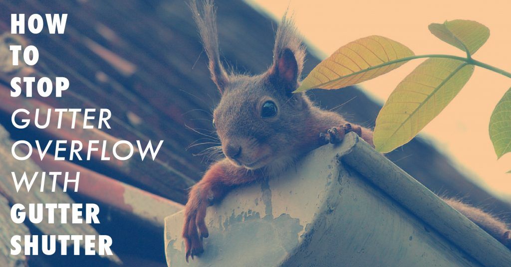 How to stop gutter overflow with guttershutter