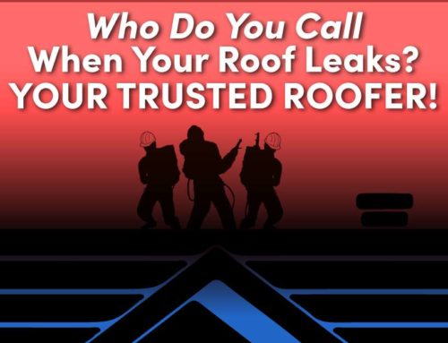 Who Do You Call When Your Roof Leaks? Your Trusted Roofer!