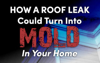 house with the caption "How A Roof Leak Could Turn Into Mold In Your Home"