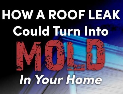 How A Roof Leak Could Turn Into Mold In Your Home