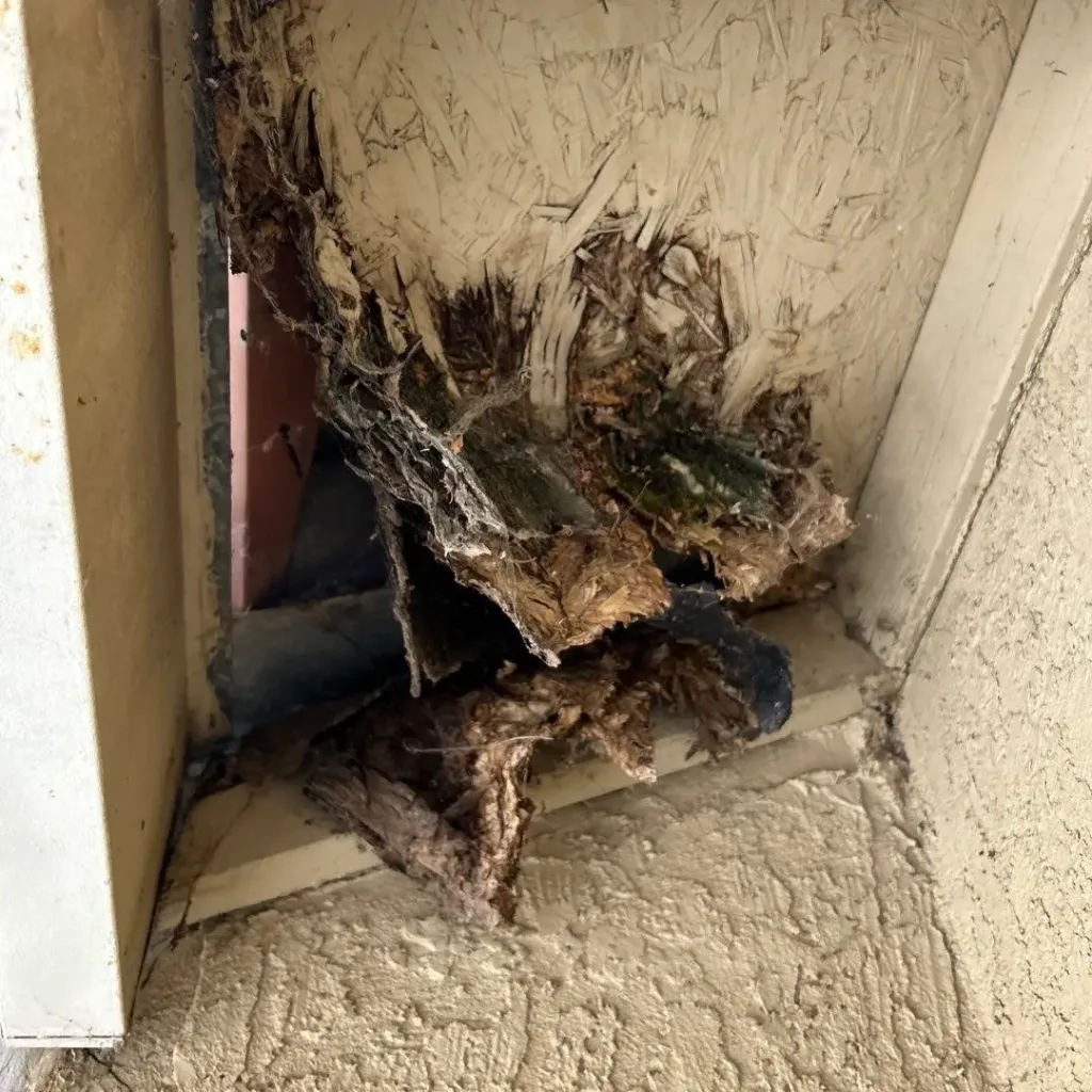 Dry rot under soffit in need of roof repair in Sacramento