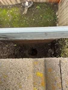 Clogged Gutter